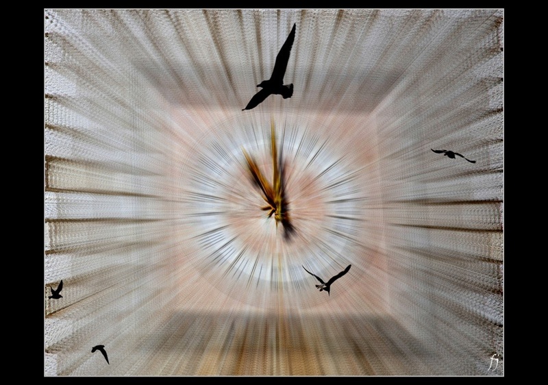 Time Passing by Janko Fon