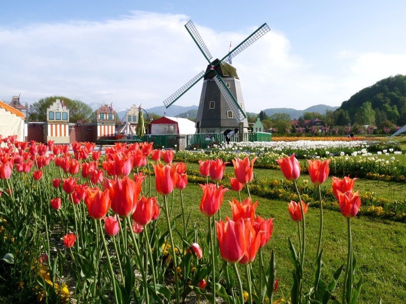 Arboretum Volčji Potok by Roman Zupanc