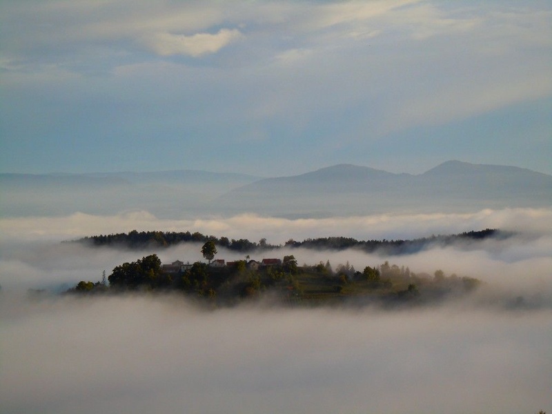 Megleno jutro by Roman Zupanc