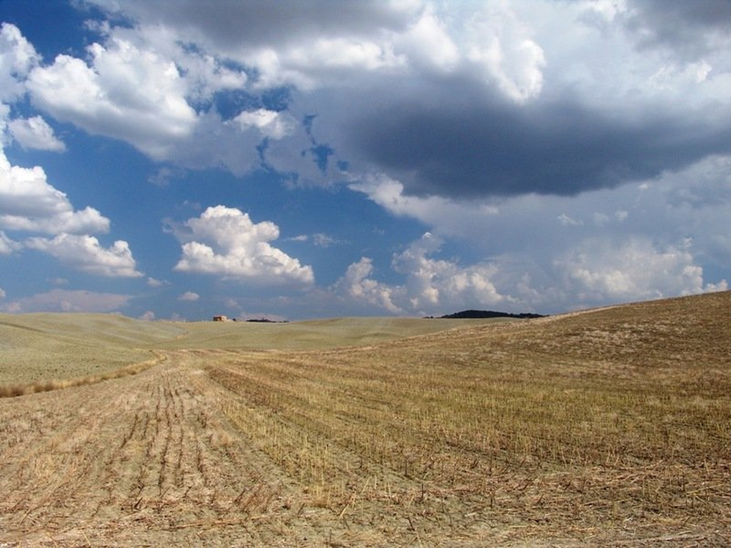 Toscana by Roman Zupanc