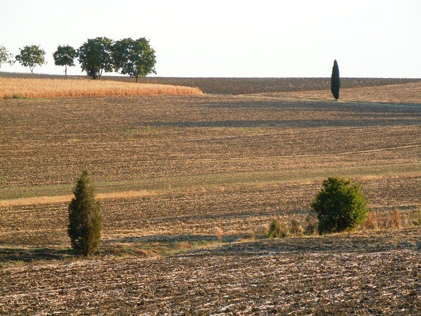 Toscana by Roman Zupanc
