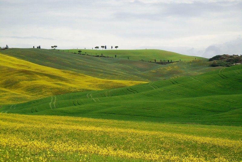 Toscana by Roman Zupanc