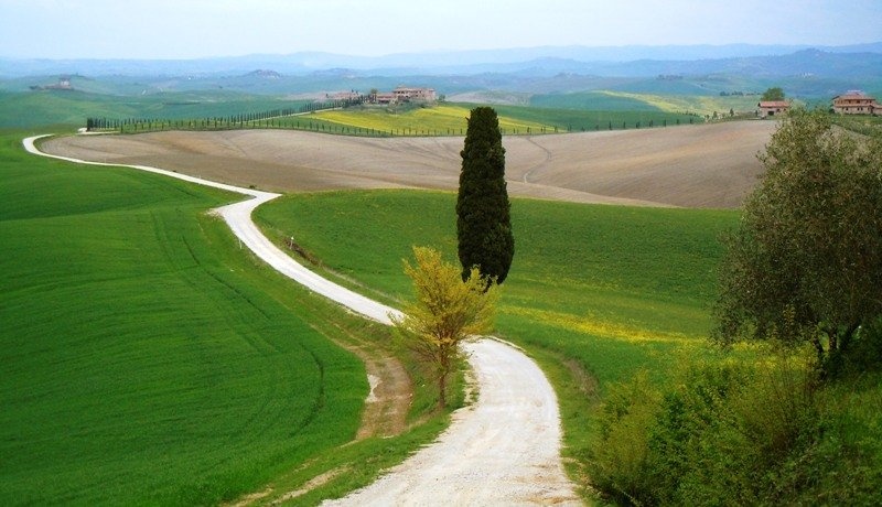 Toscana by Roman Zupanc