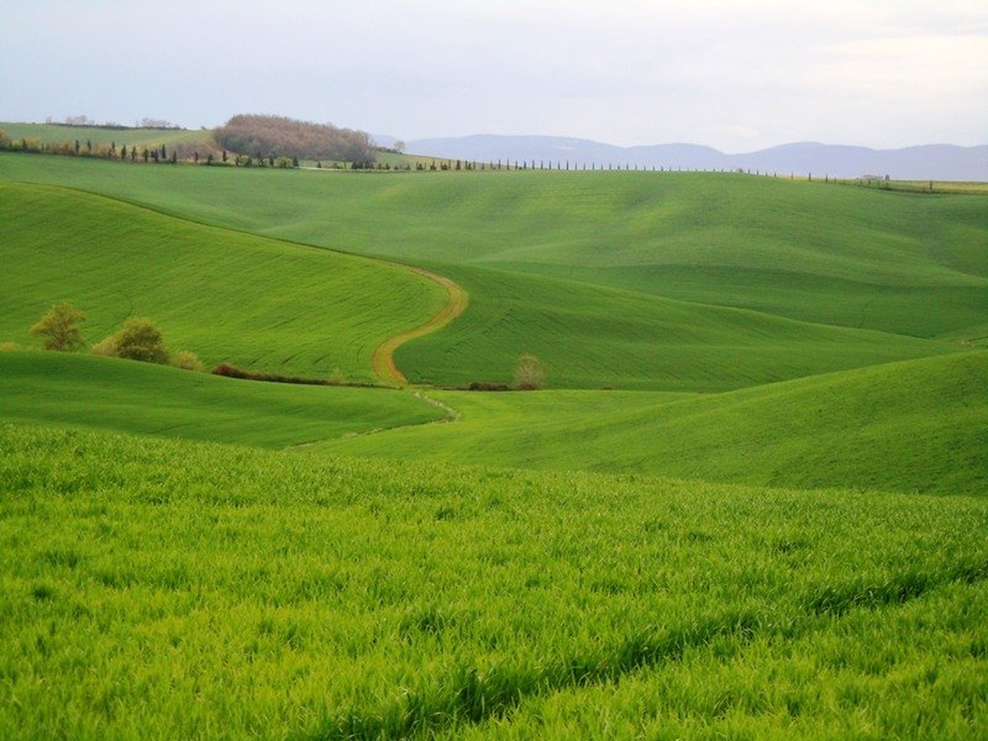 Toscana by Roman Zupanc