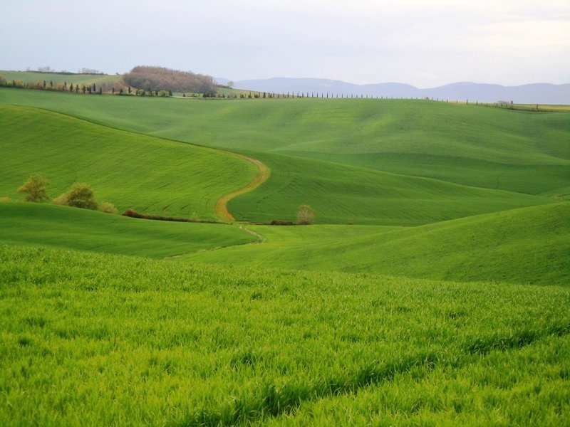 Toscana by Roman Zupanc