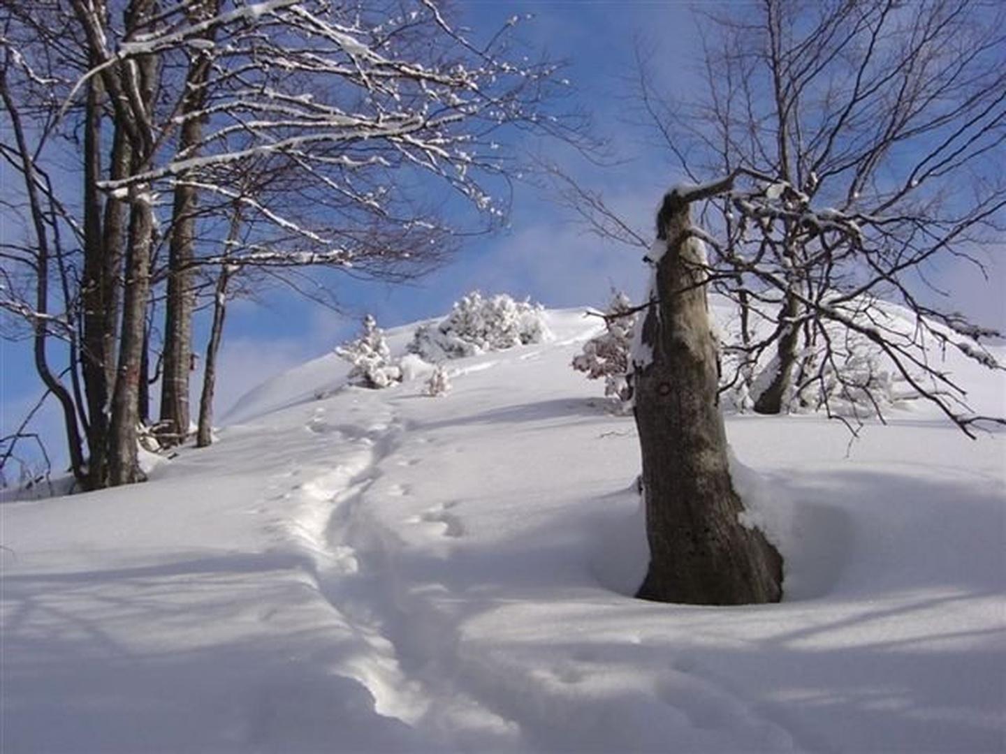 Povabilo by