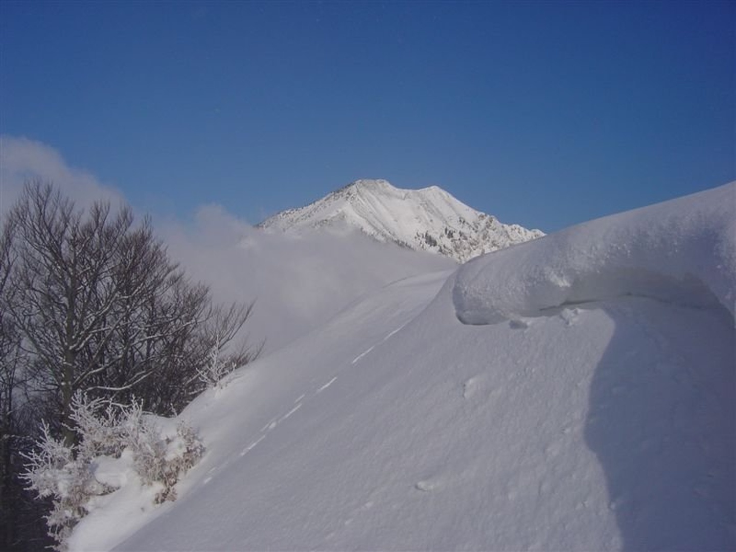 Tja bom šel by