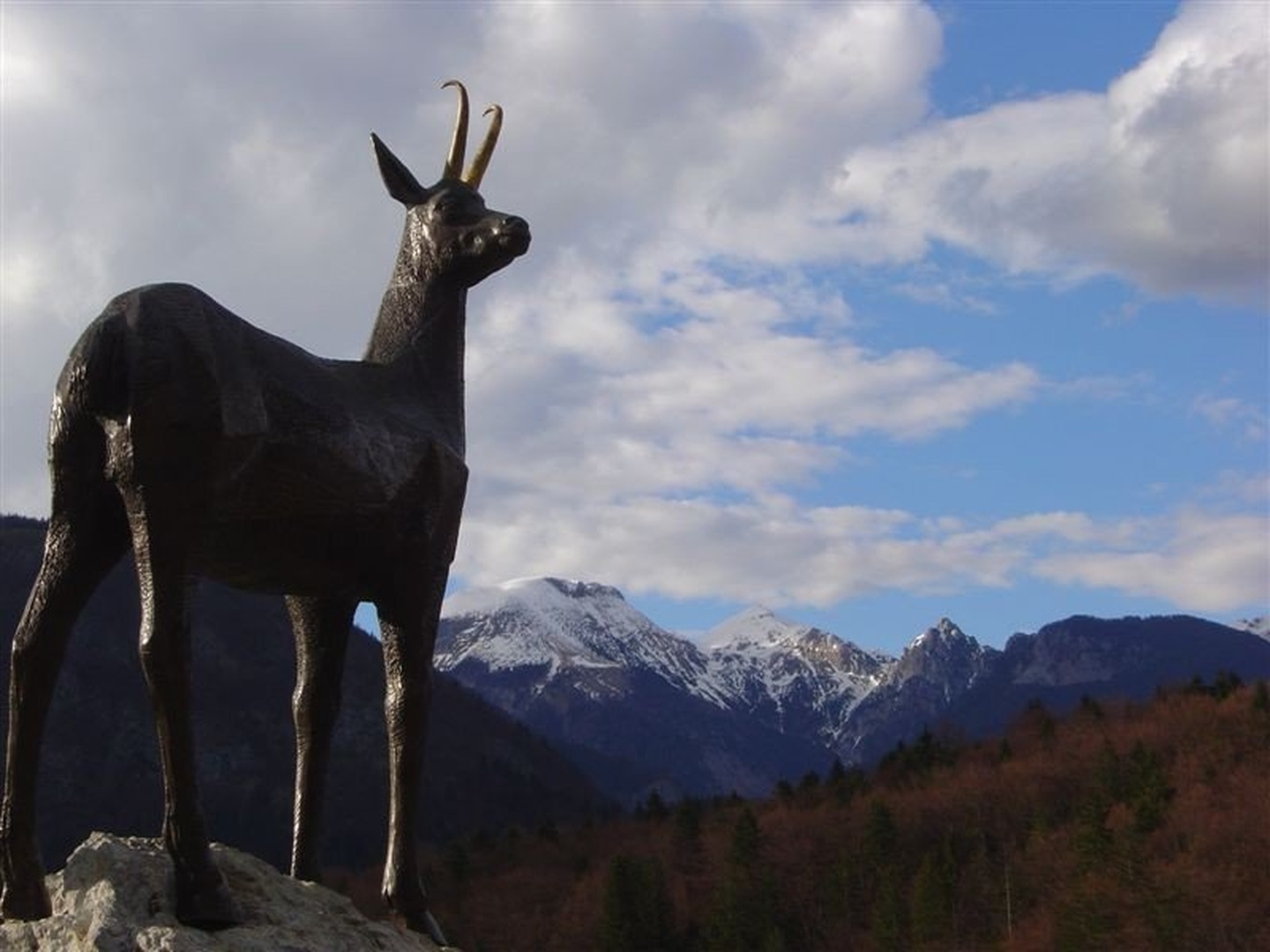 Bohinj by