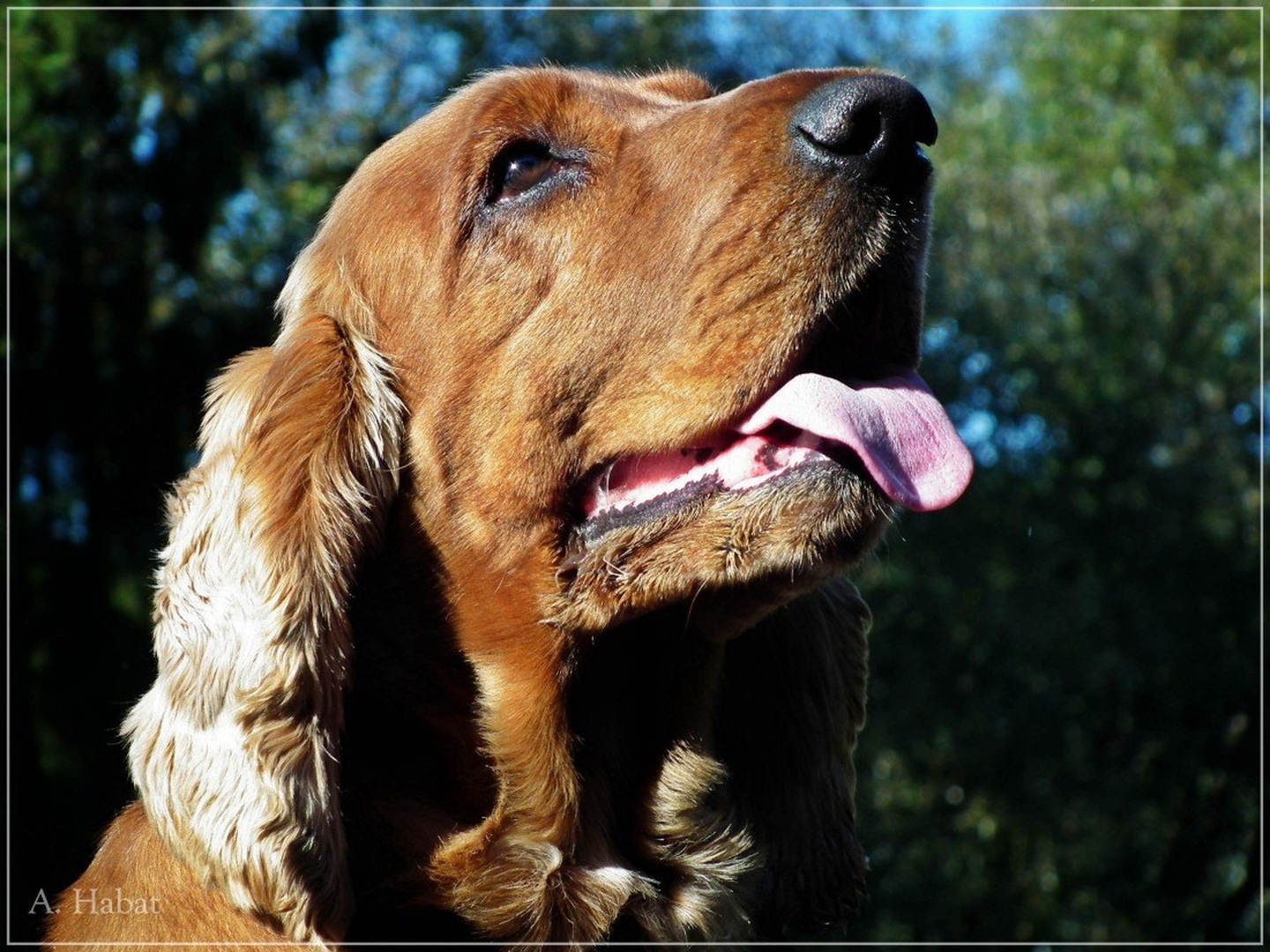 Taj [: by