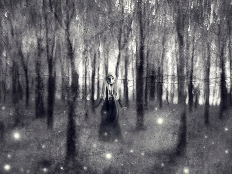 she by branimir jaredic