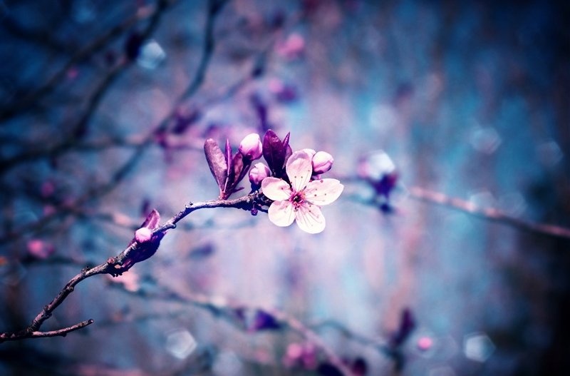 untitled by branimir jaredic