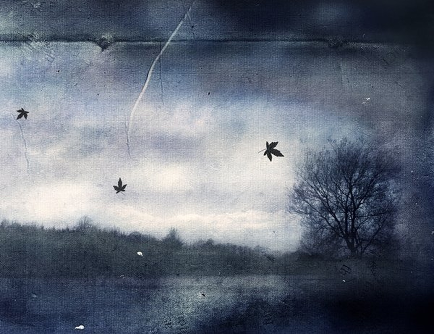 untitled by branimir jaredic