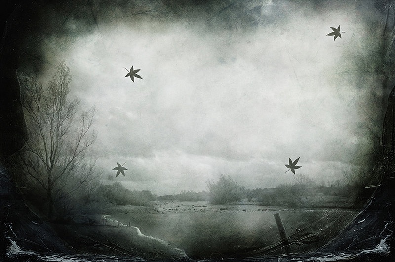 untitled by branimir jaredic