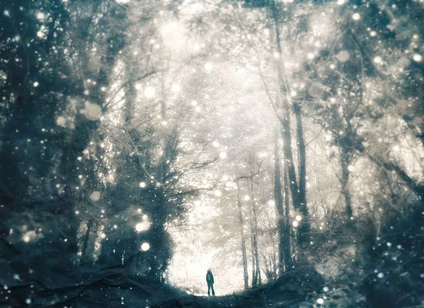 untitled by branimir jaredic