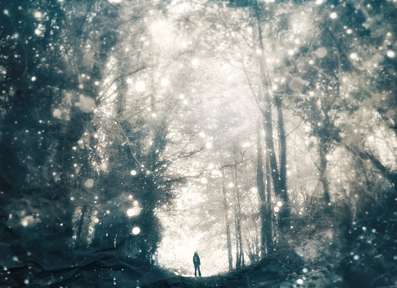 untitled by branimir jaredic