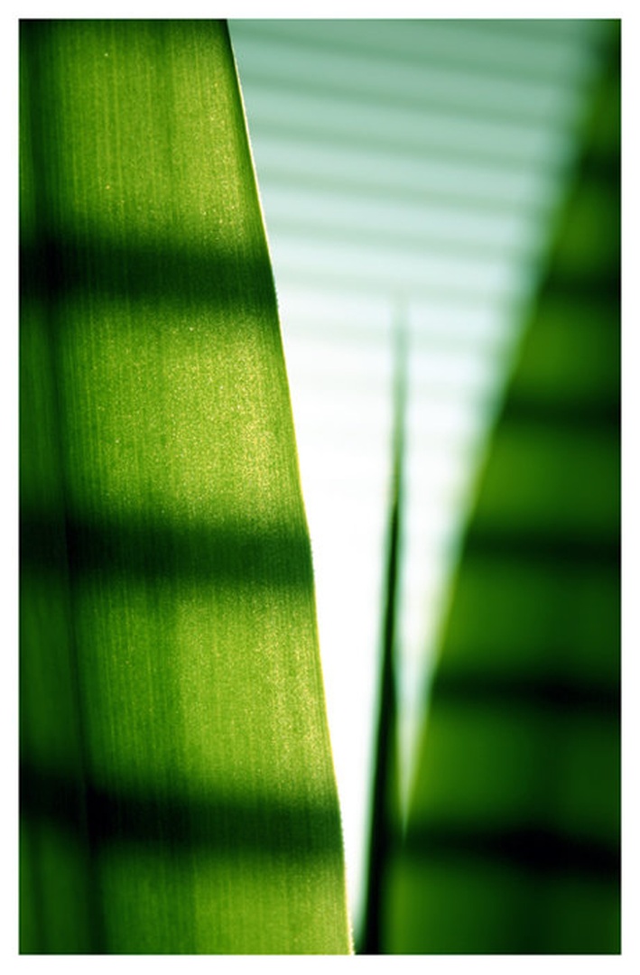 IMG_2493 by Miha Skulj