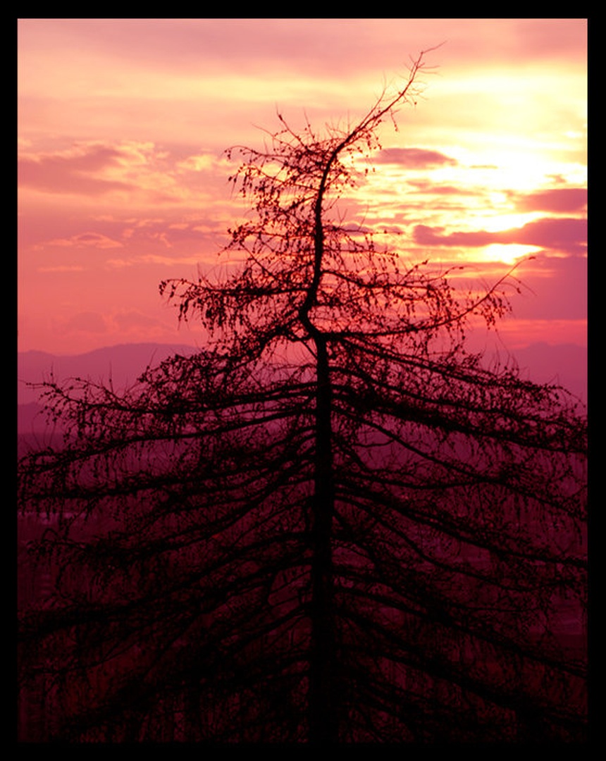 Sun Set by Miha Skulj