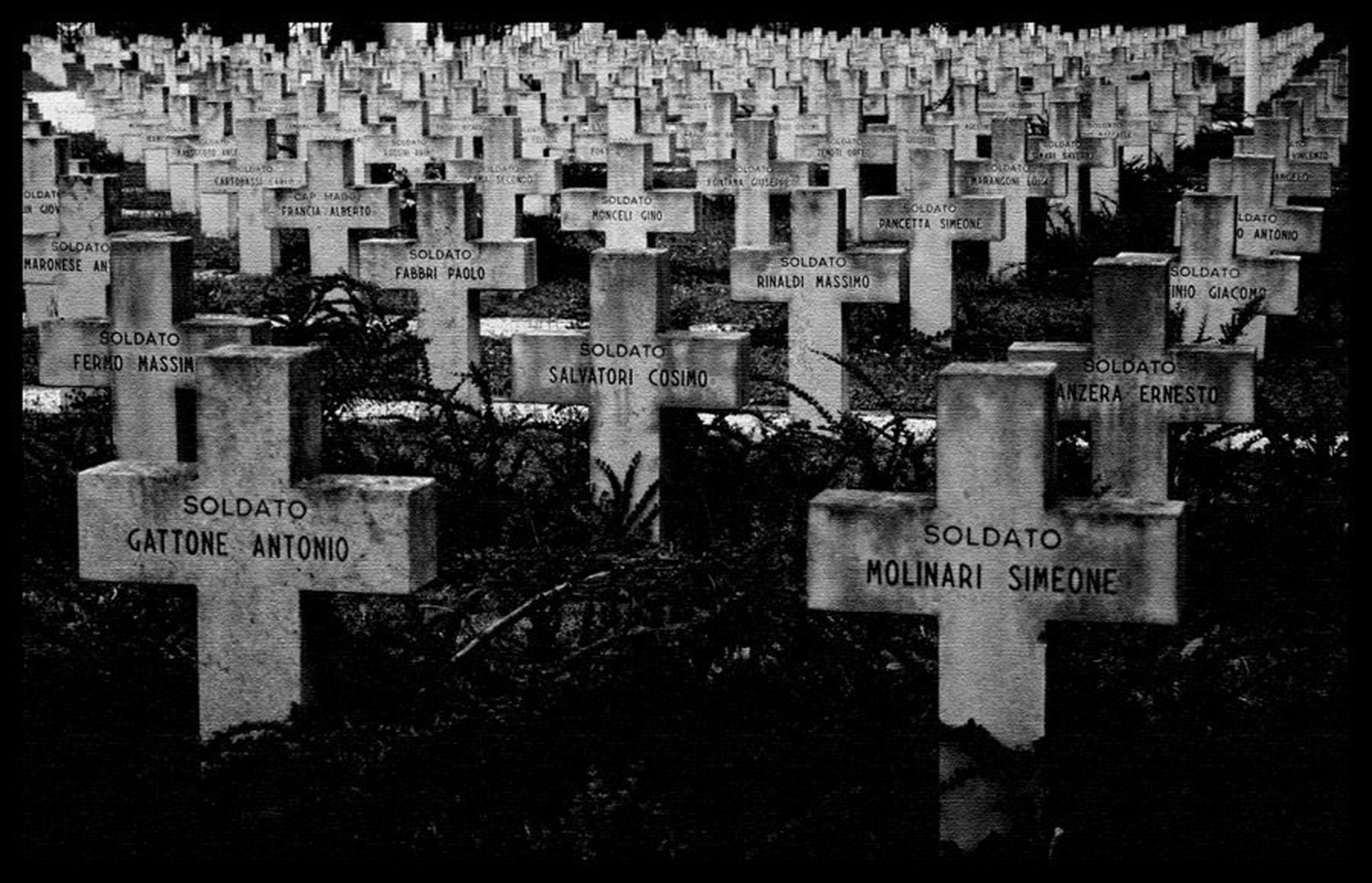 WAR by Miha Skulj