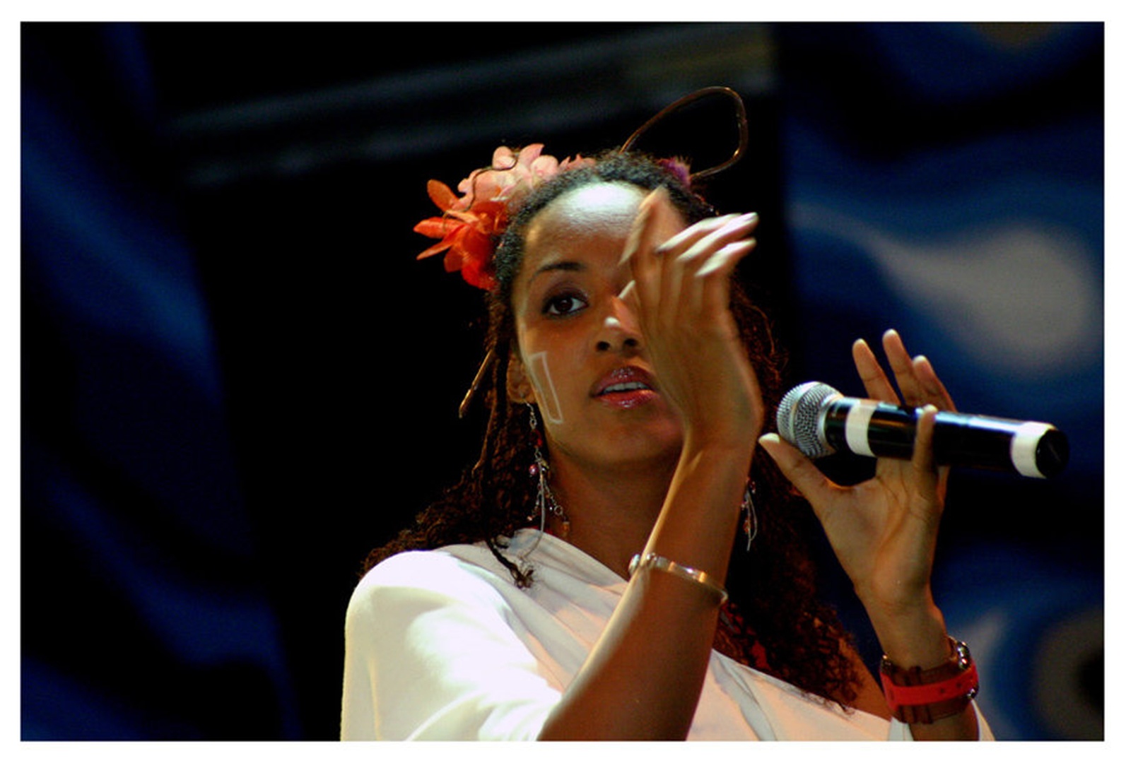 Zap Mama Too by Miha Skulj