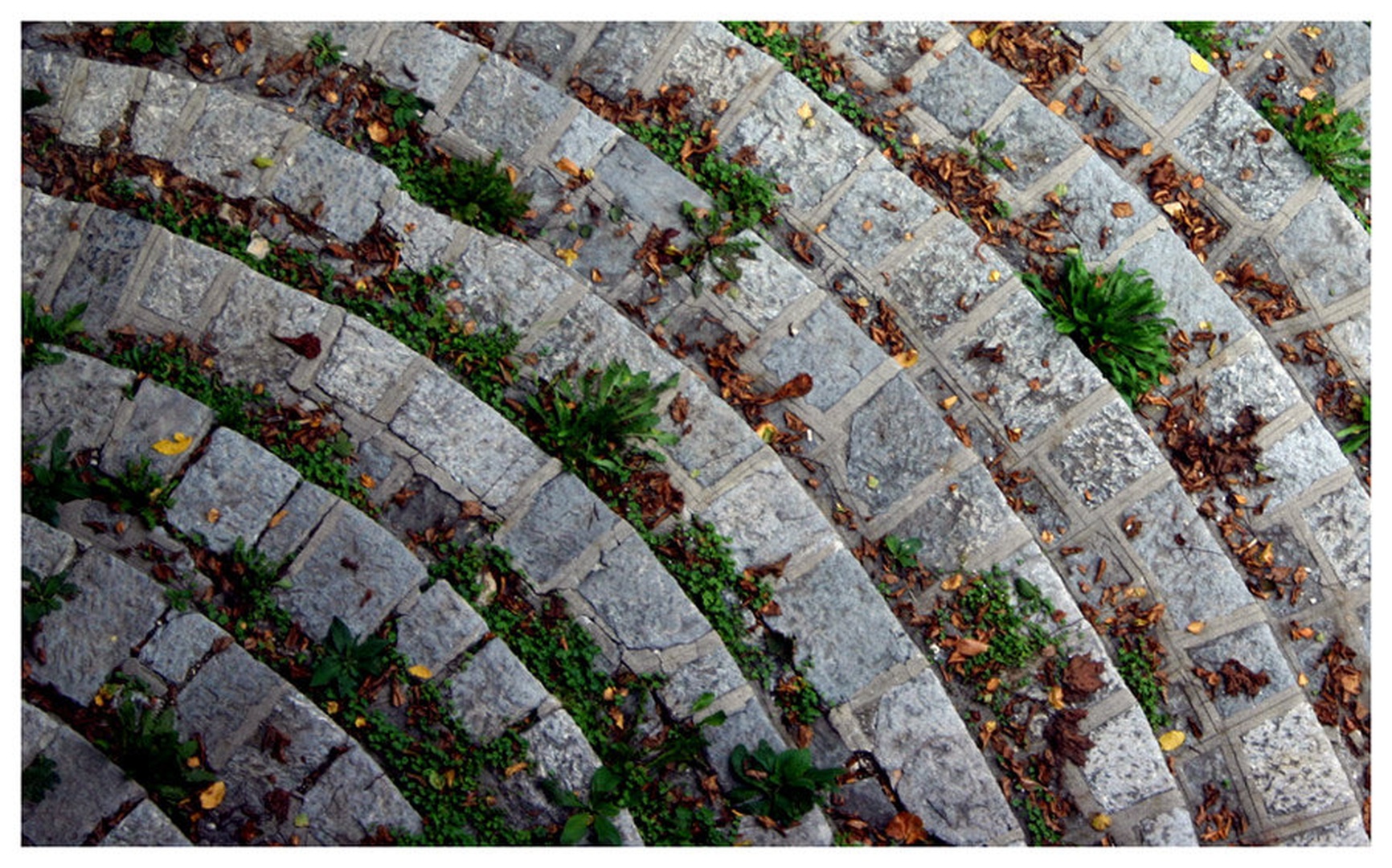 Ten Steps by Miha Skulj