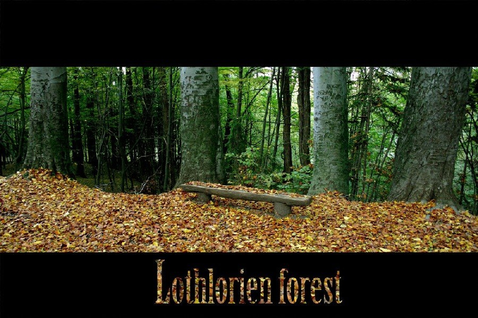 Lothlorien Forest by Miha Skulj