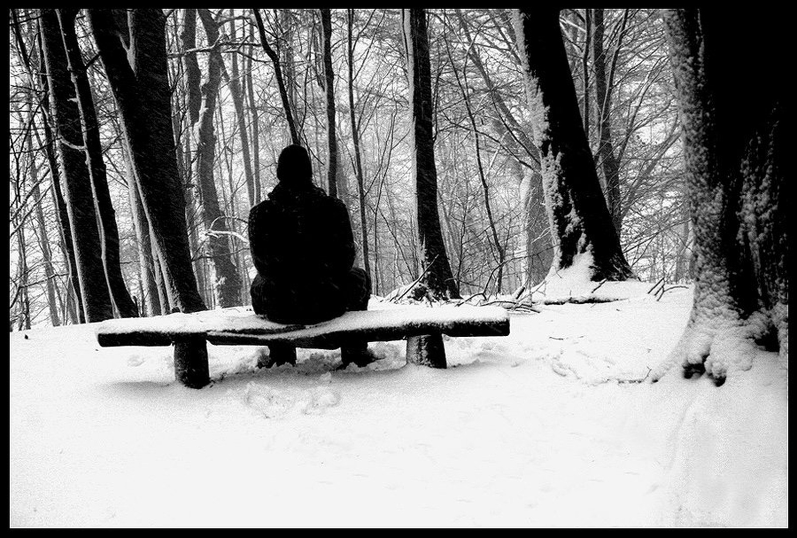 Without You by Miha Skulj