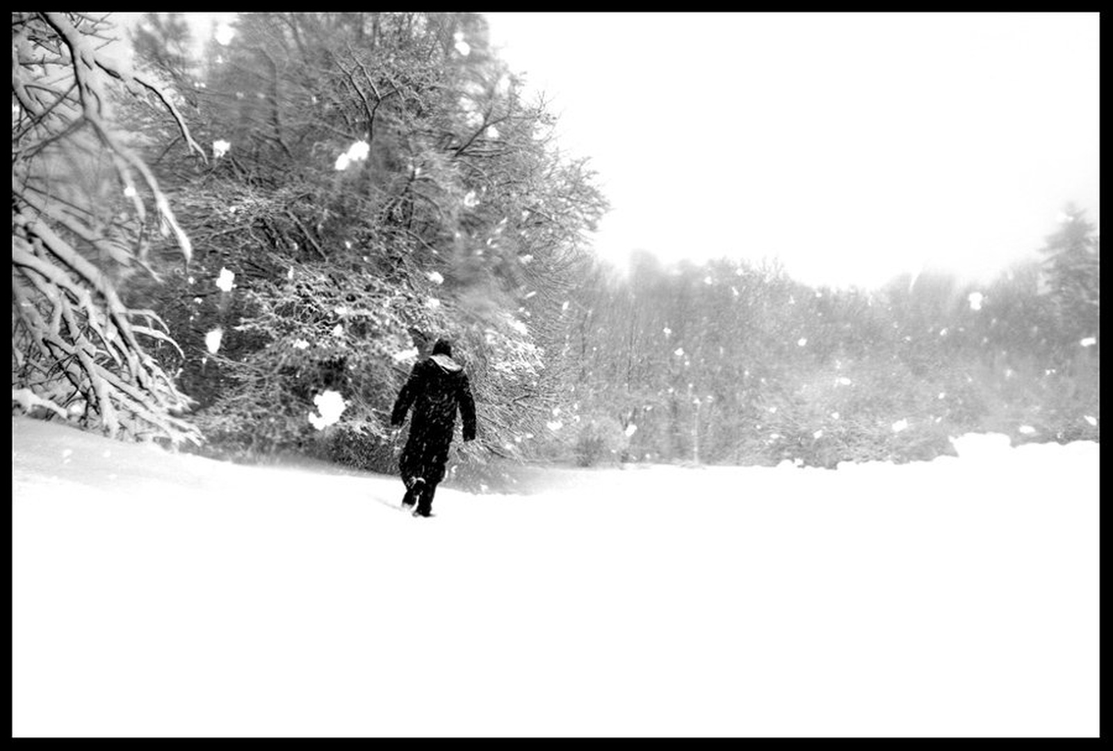 Walk Away by Miha Skulj