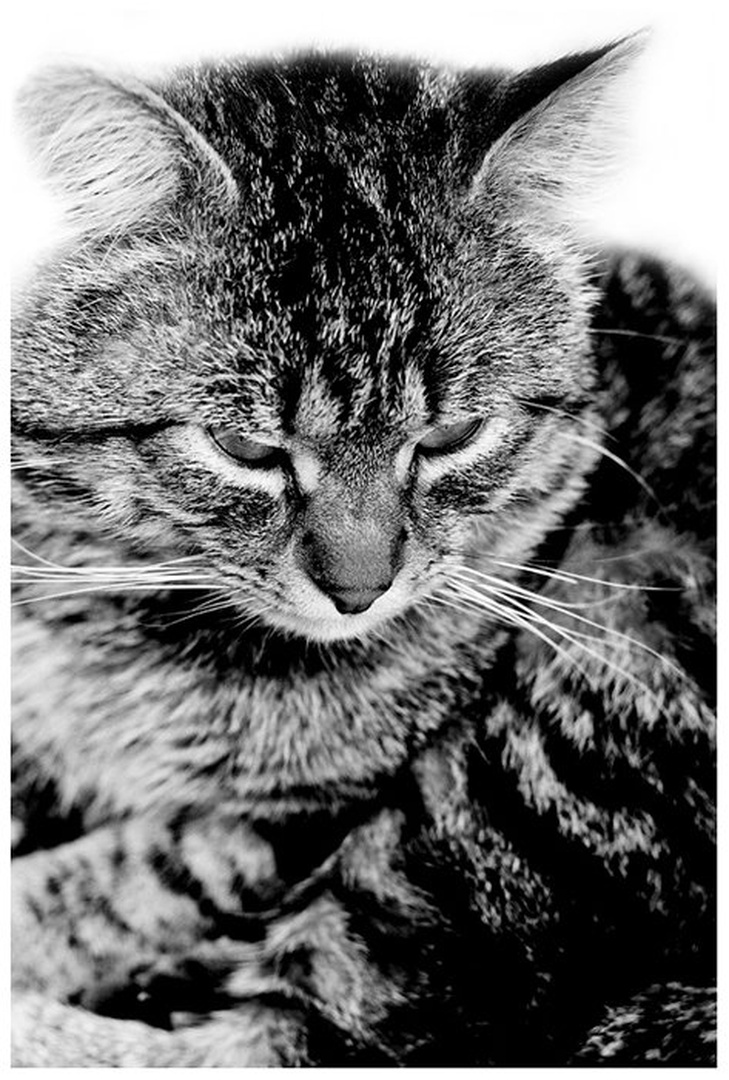 Lazy by Miha Skulj