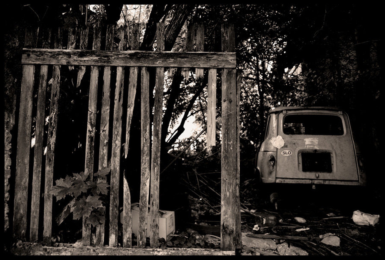 Forgotten by Miha Skulj