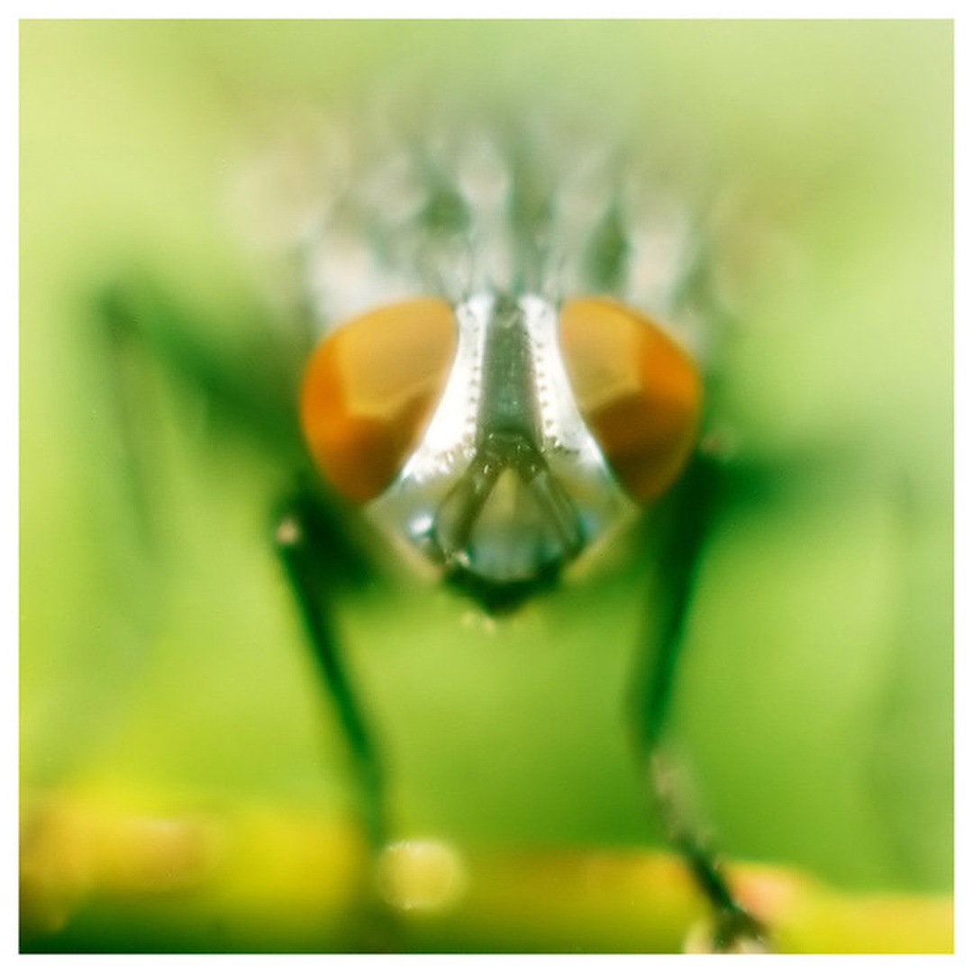 eye 2 eye by Miha Skulj