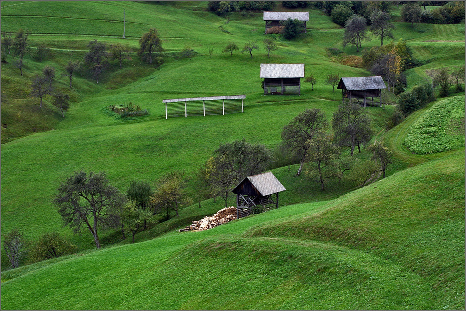 Zelena pokrajina by Simon Kovačič