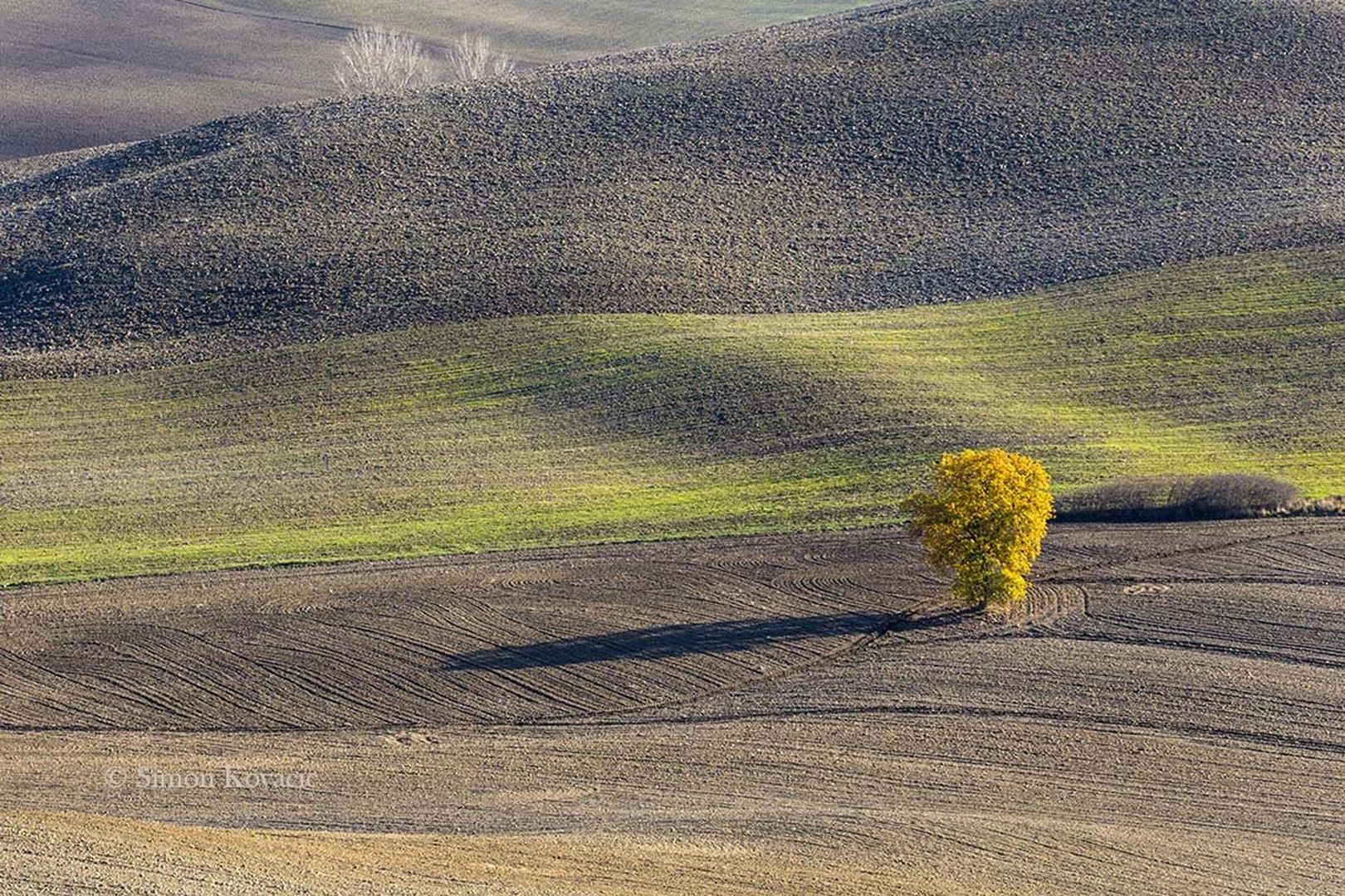 Tuscany 859 by Simon Kovačič
