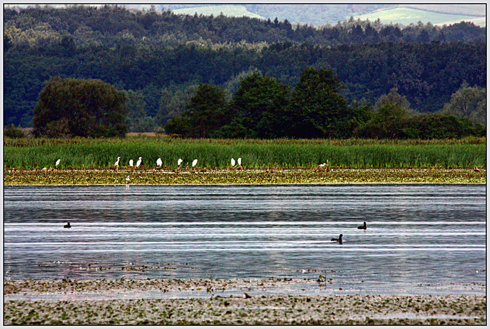 Akumulacijsko jezero Medevedce by Simon Kovačič