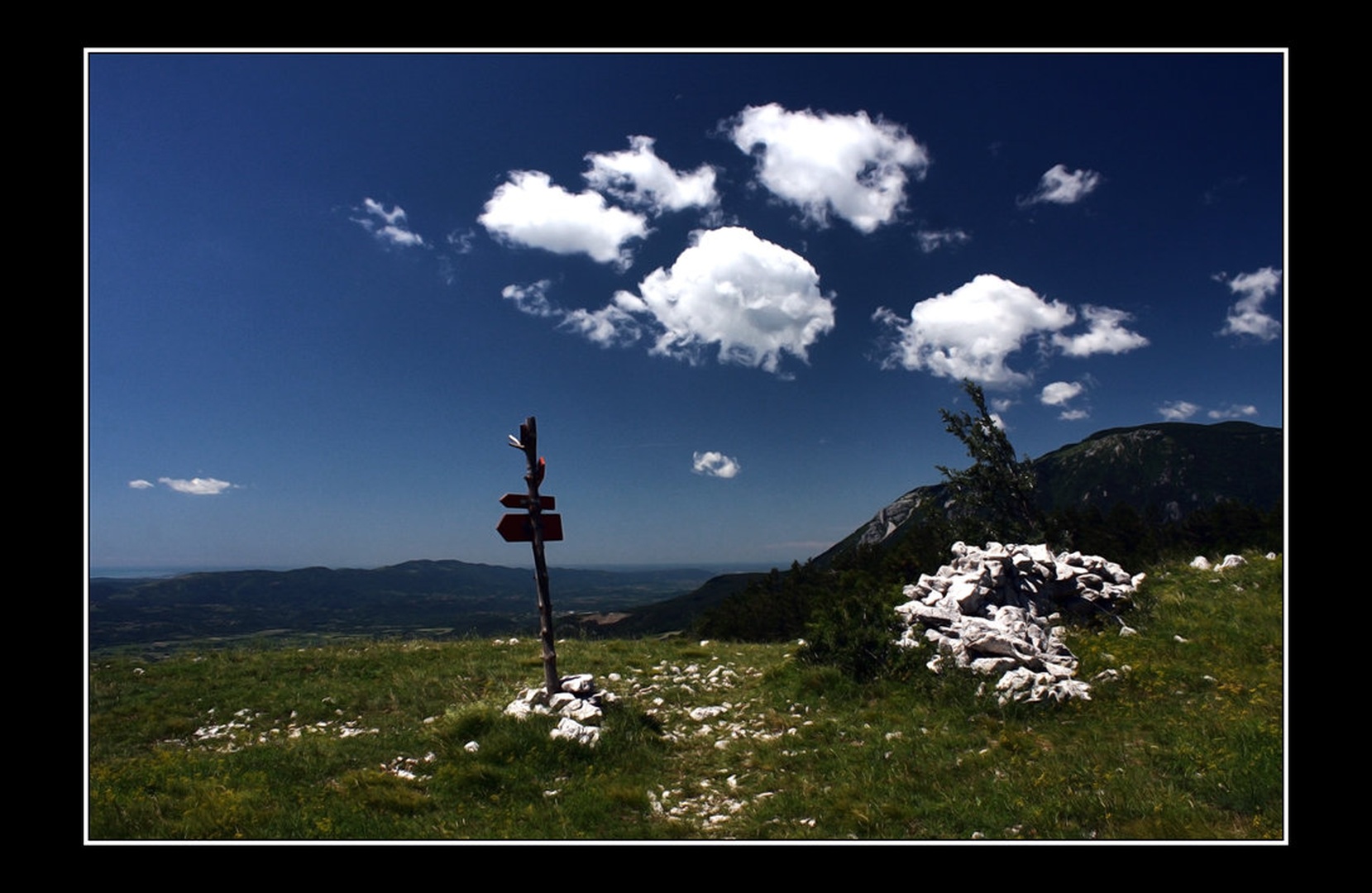 Otlica by Simon Kovačič