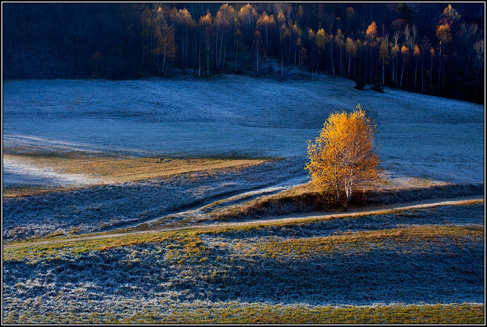 Jutro by Simon Kovačič