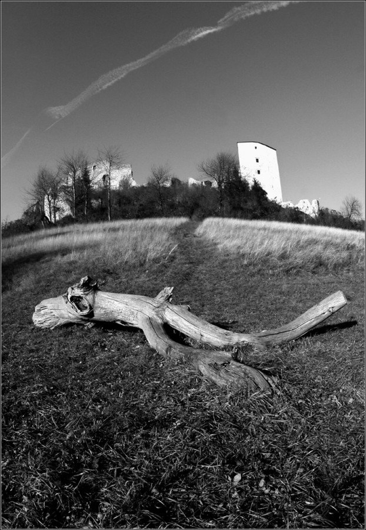 Konjiški grad by Simon Kovačič