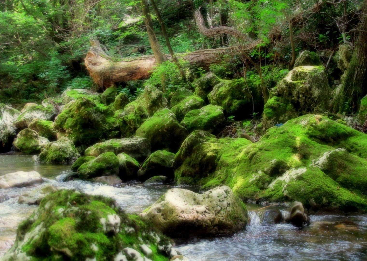 Bistri potoček by Zdenka Š.