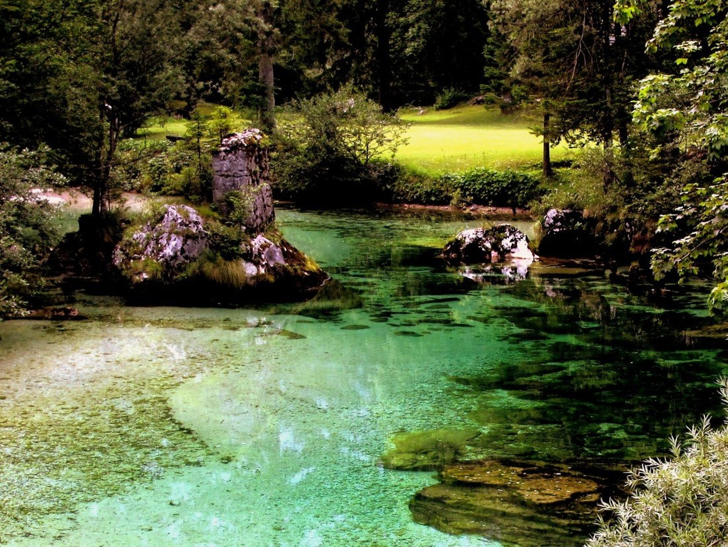 Sava Bohinjka by Zdenka Š.