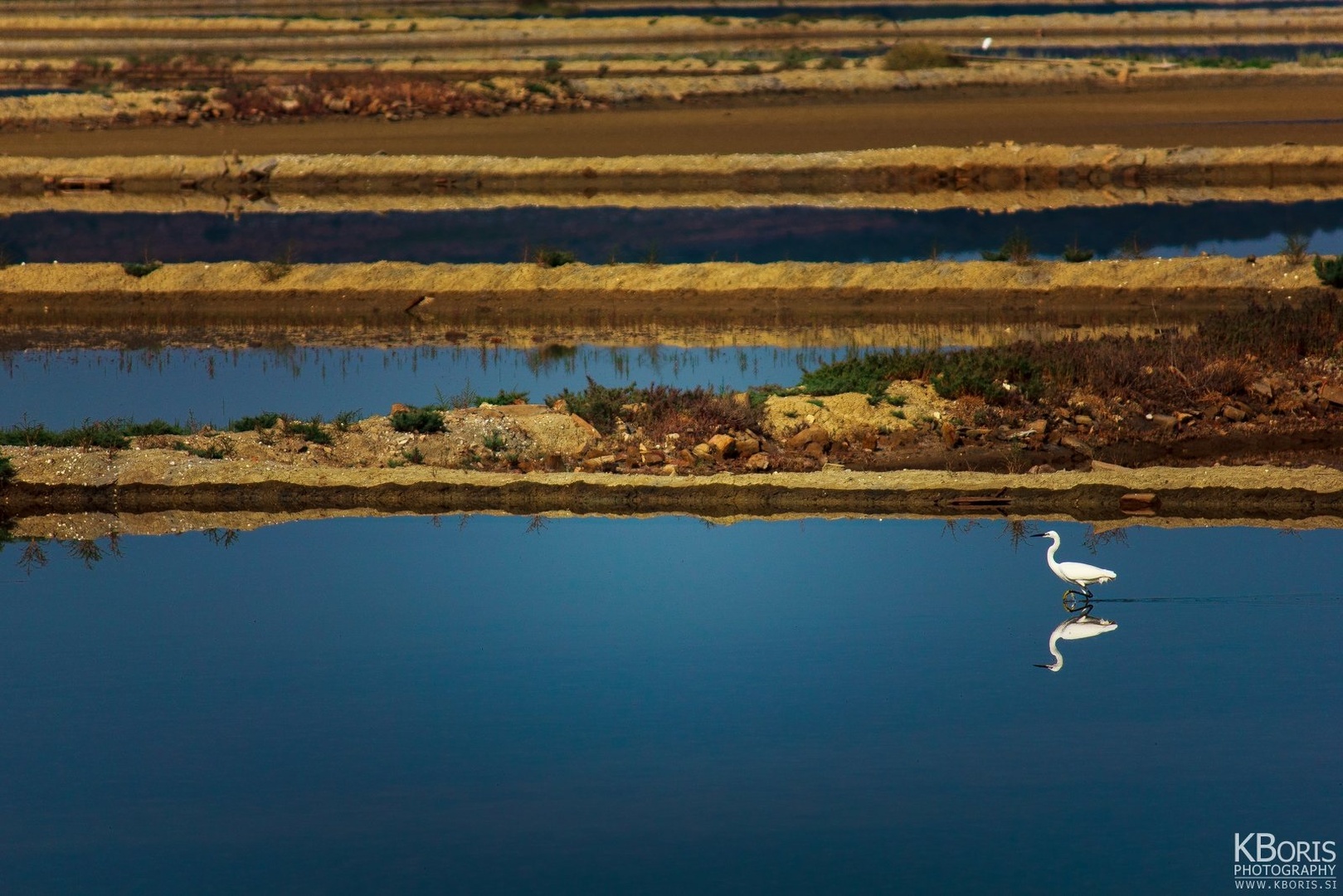 White by Boris K