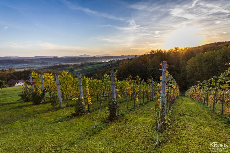 Jutro po Martinovem by Boris K
