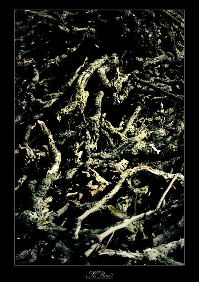 Bodies by Boris K