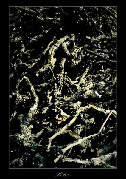 Bodies by Boris K