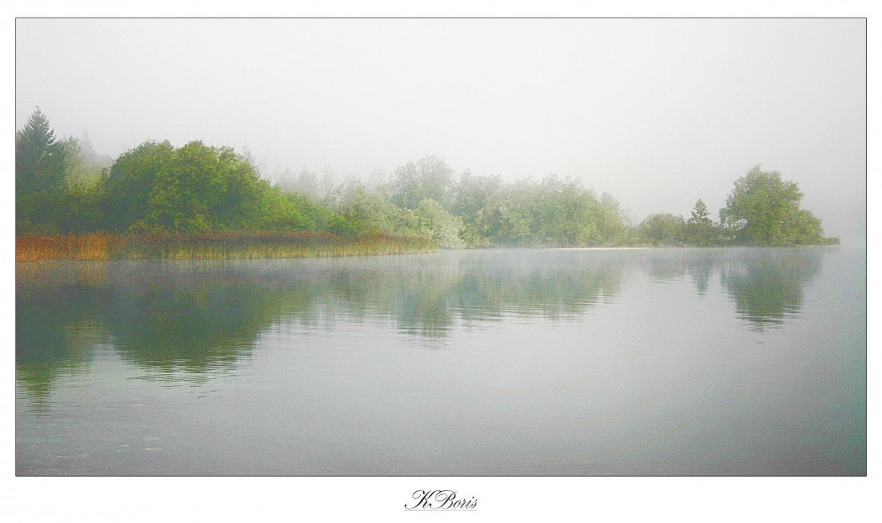 The Fog by Boris K