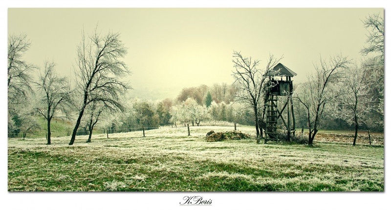 Almost Winter by Boris K