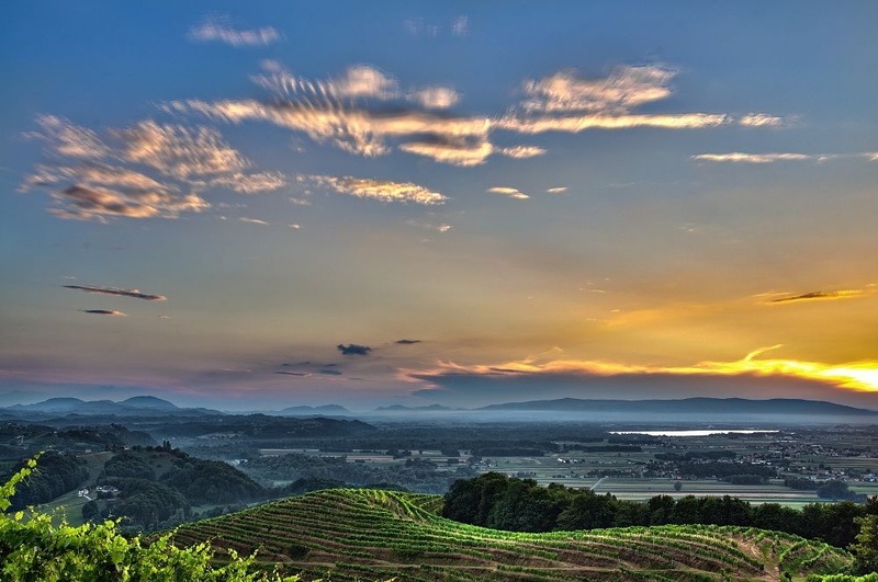 Pogled na Ptujsko polje by janez