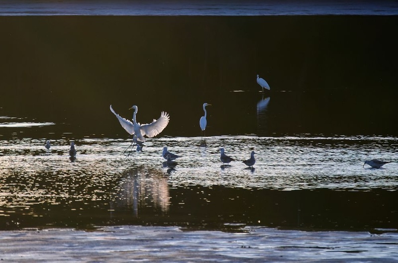 Pristanek by janez