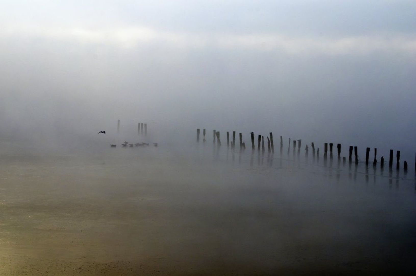 Jutro na jezeru by janez