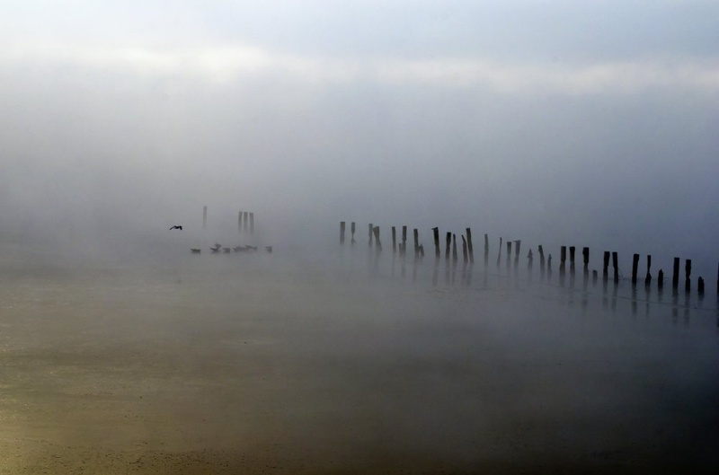Jutro na jezeru by janez