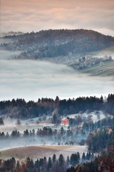 Forsty by Jure Planinc