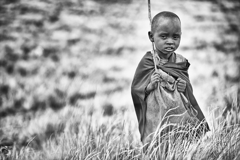 Little Shepherd by Goran Jovic